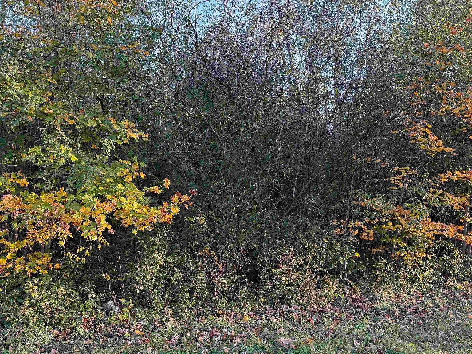 49 County Rte Winthrop, NY 13697 - Thumbnail 5