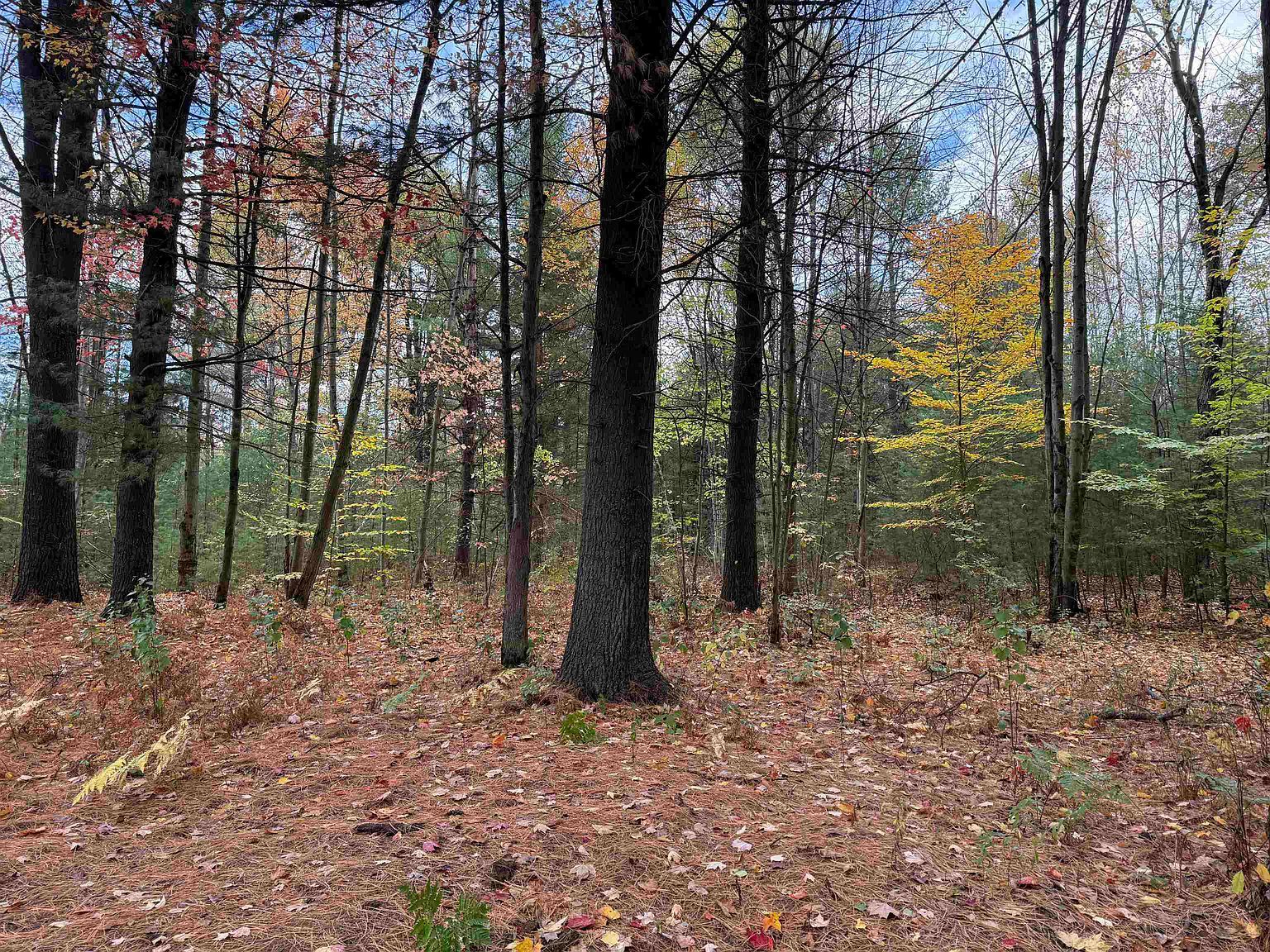 4131 State Highway 310 Norfolk, NY 13667 - Thumbnail 5