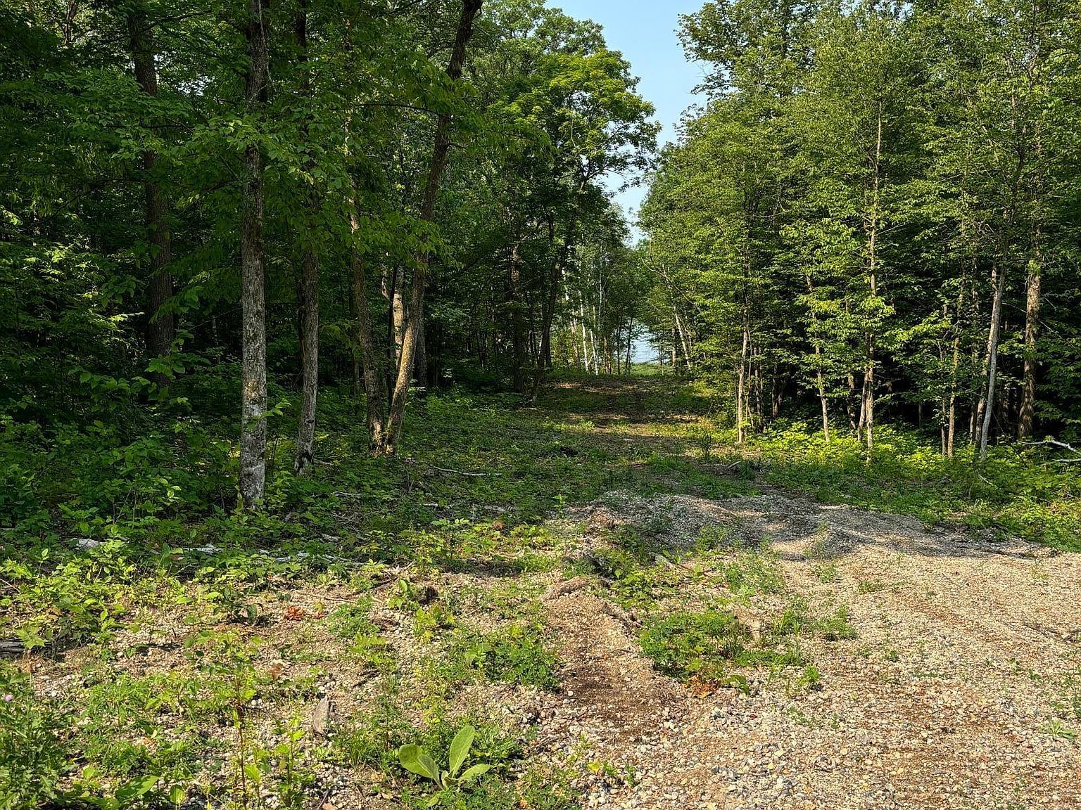 1254 Island Lake Resort Dr Lengby, MN 56651 - Thumbnail 5