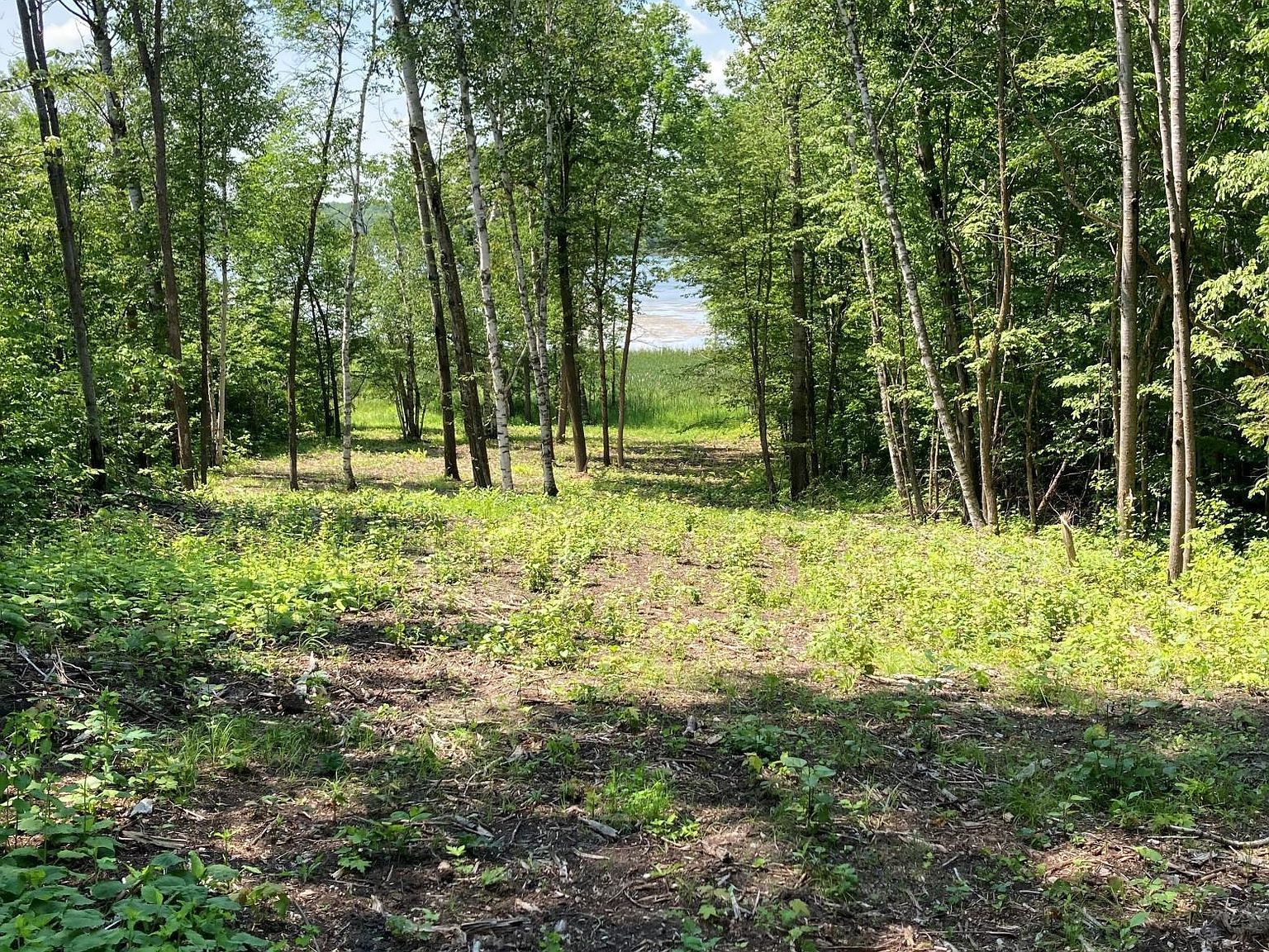 1250 Island Lake Resort Dr Lengby, MN 56651 - Thumbnail 5