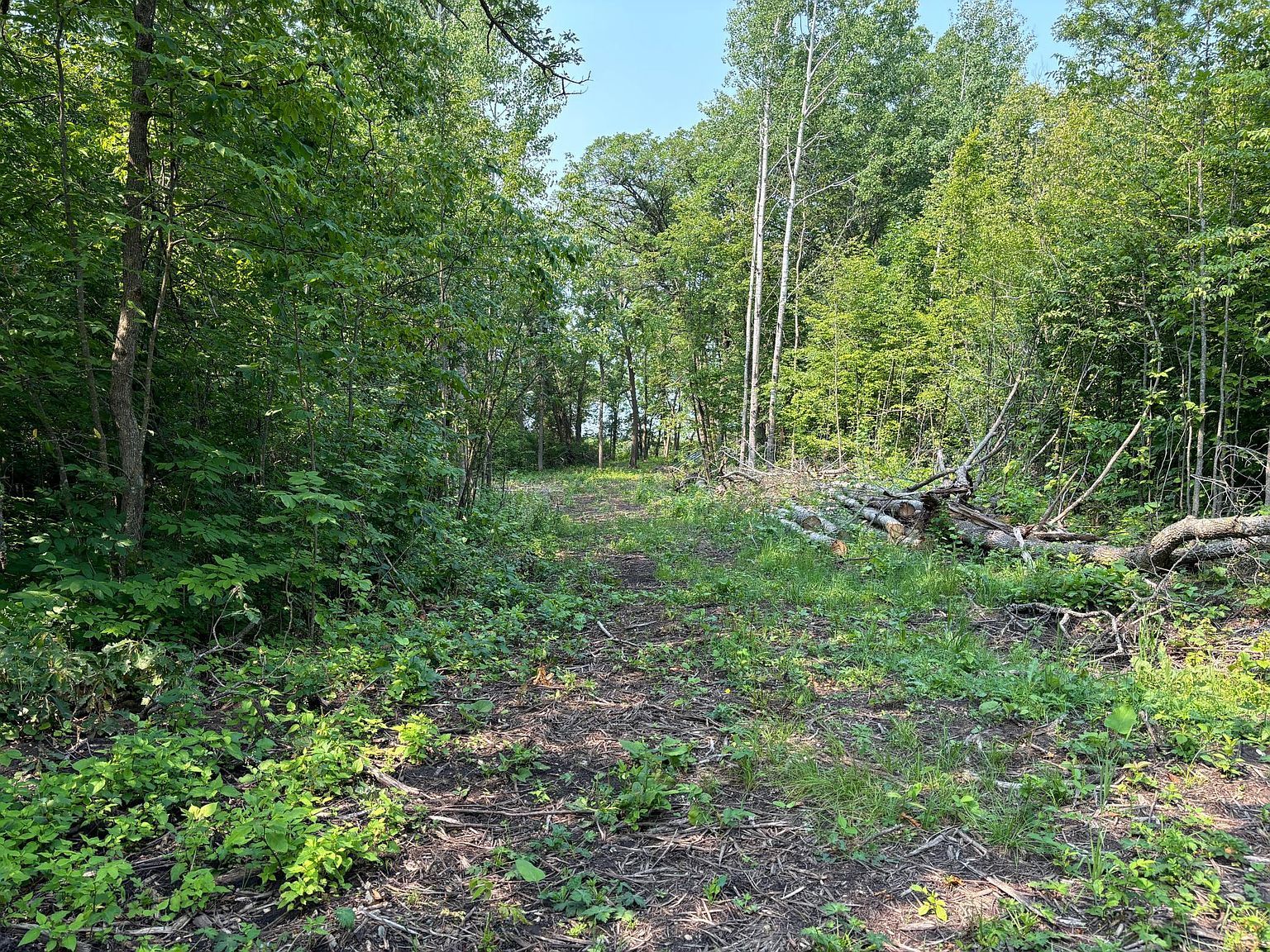 1246 Island Lake Resort Dr Lengby, MN 56651 - Thumbnail 5