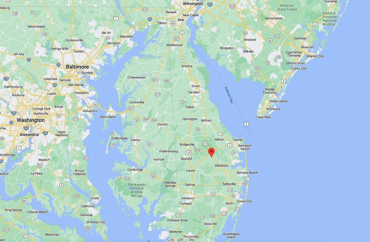 18.271 Ac Tract #5 Georgetown, DE 19947 - Thumbnail 5