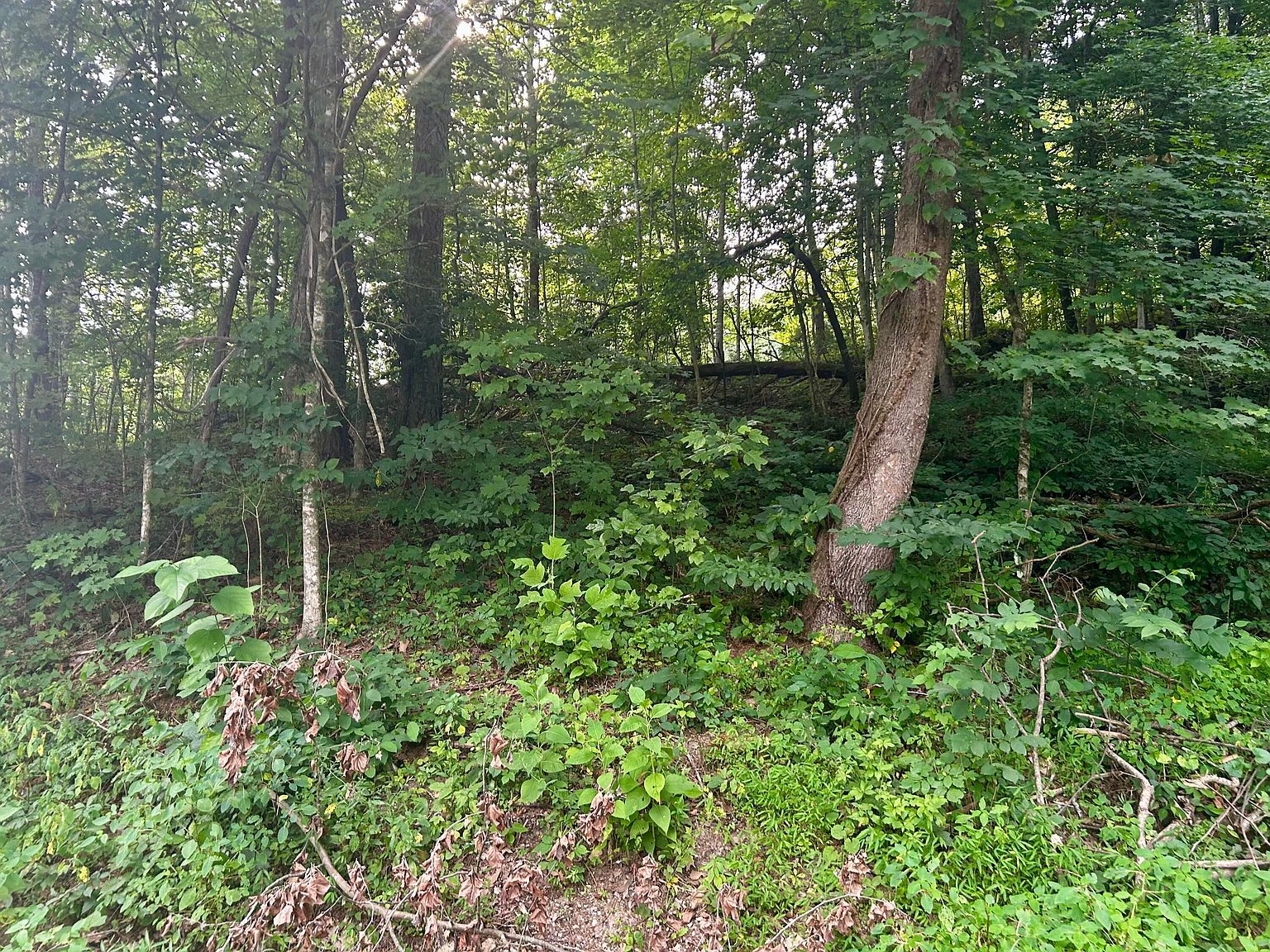 6270 Highway 192 Somerset, KY 42501 - Thumbnail 5