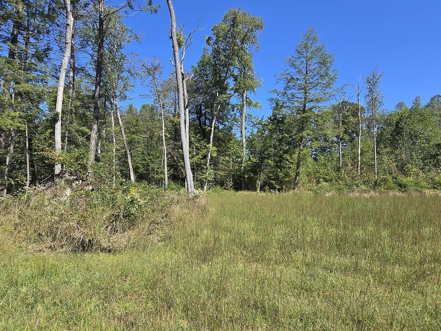 LOT 329 Riva Ridge Trl #A Corbin, KY 40701 - Thumbnail 5