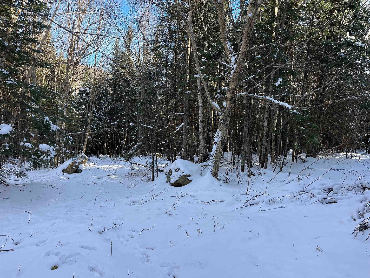 0 Shadow Lake Rd Glover, VT 05839 - Thumbnail 5