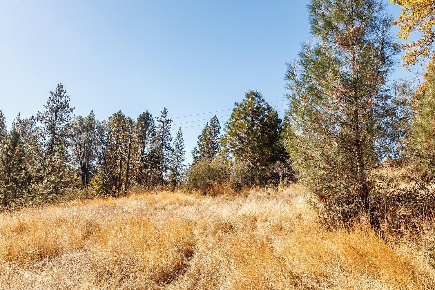 3609 Red Dog Dr Camino, CA 95709 - Thumbnail 5