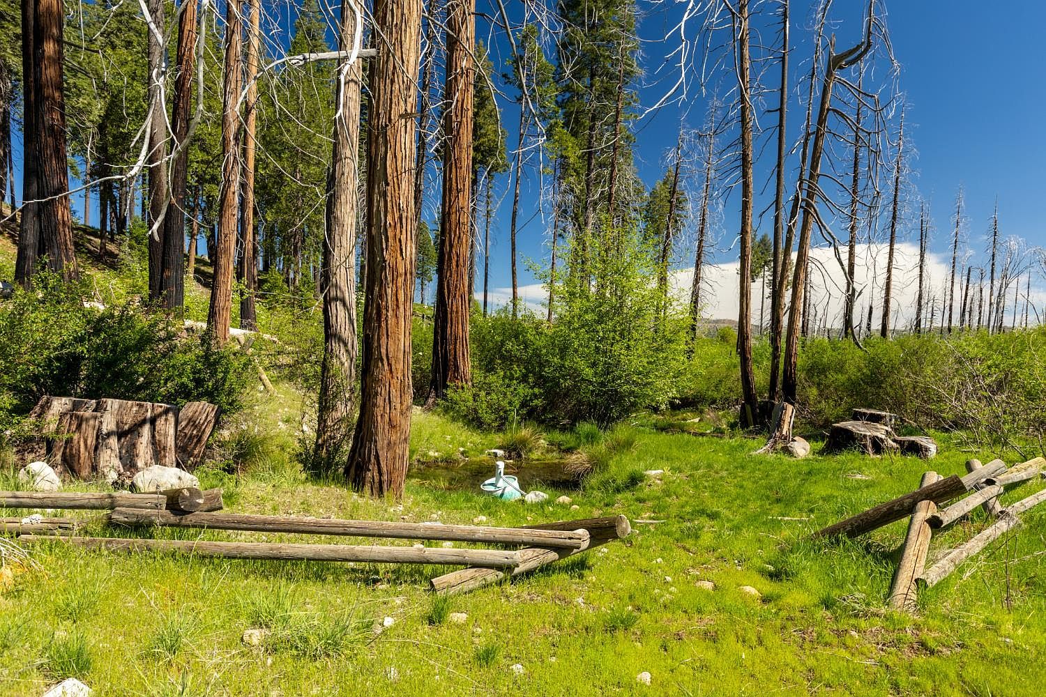 Acres 40 Wentworth Springs Rd Georgetown, CA 95634 - Thumbnail 5