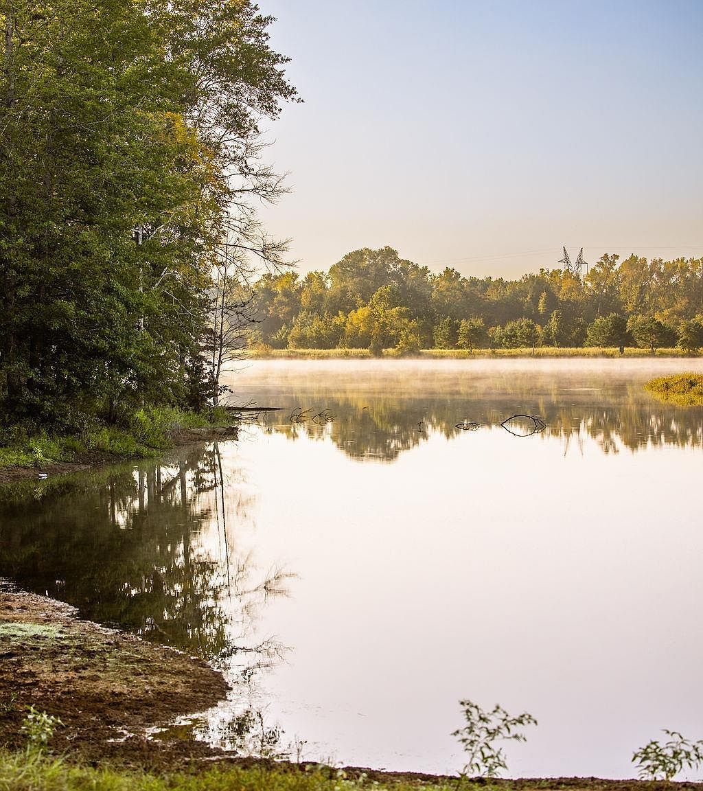 LOT 41 Fm 2015 Tyler, TX 75708 - Thumbnail 5