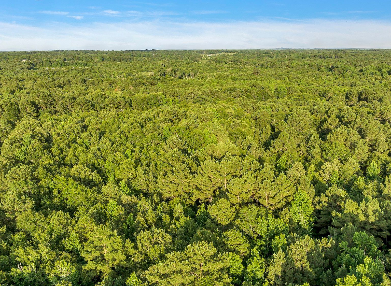 Fm 757 Winona, TX 75792 - Thumbnail 5