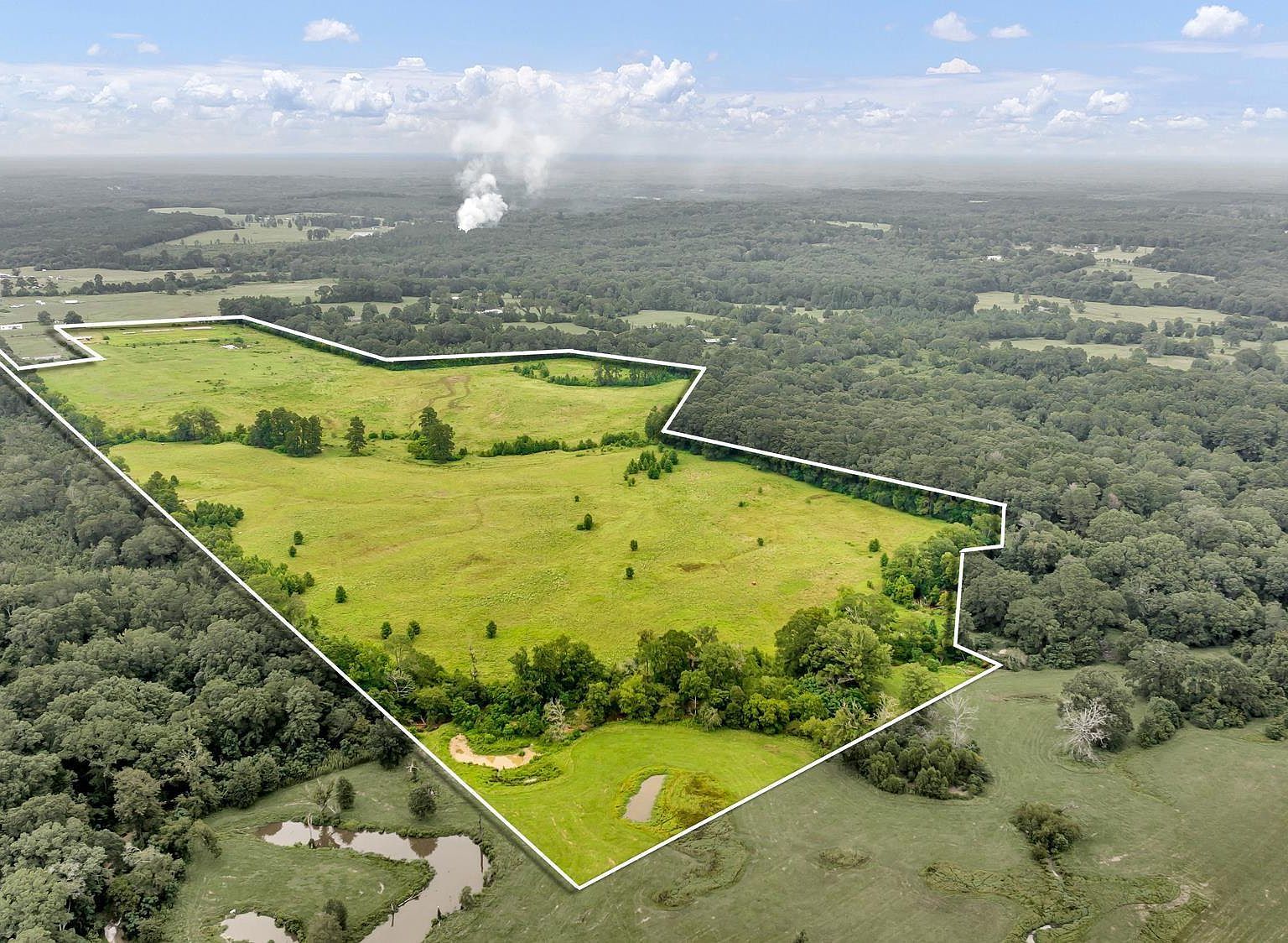 County Road 435 Tenaha, TX 75974 - Thumbnail 5