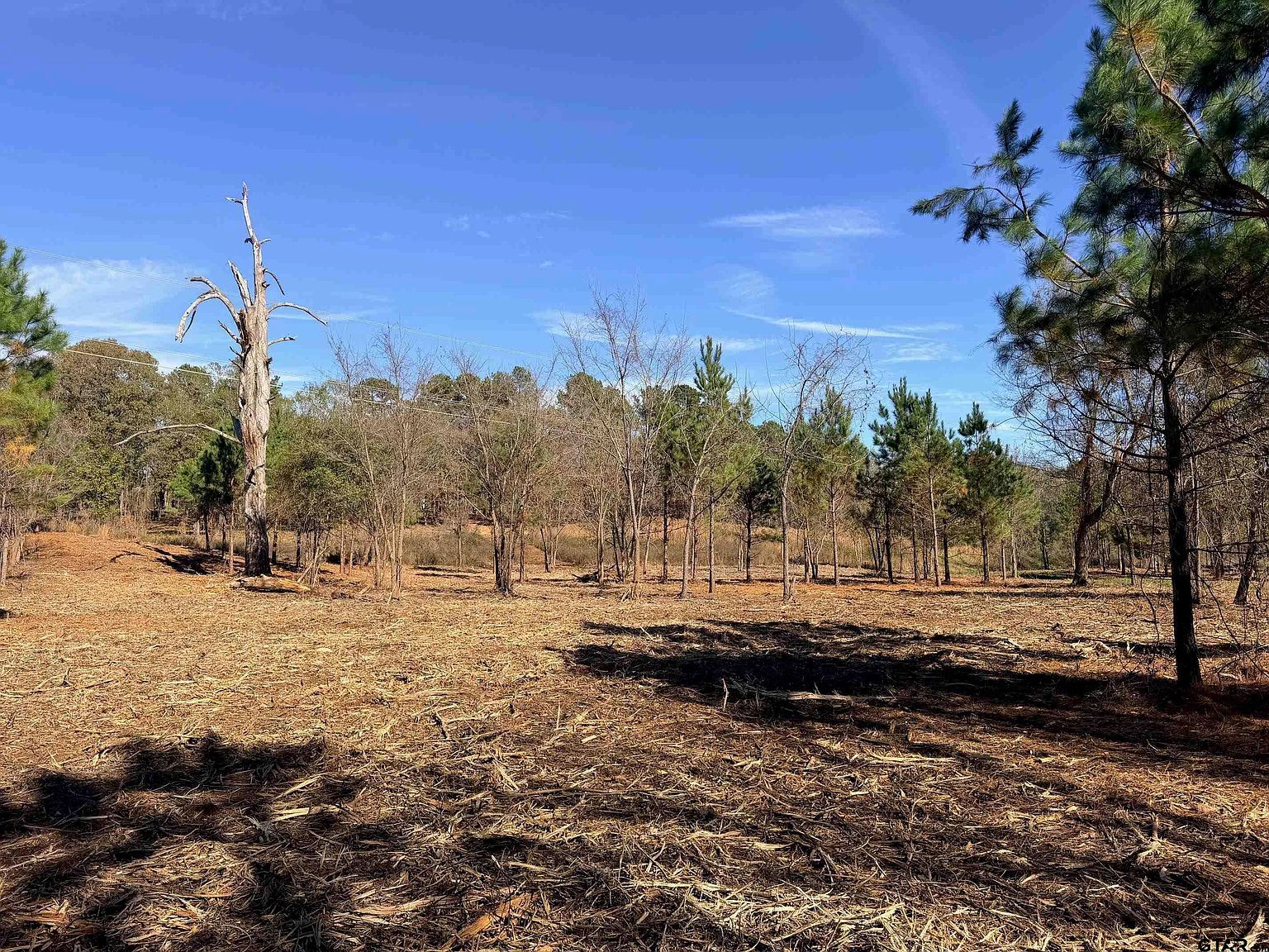 10719 Portside Cir Tyler, TX 75708 - Thumbnail 5