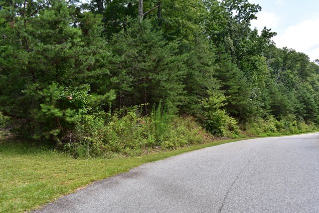 Heyden Ridge Drive, Clarkesville, GA, USA, 30523 - Thumbnail 5