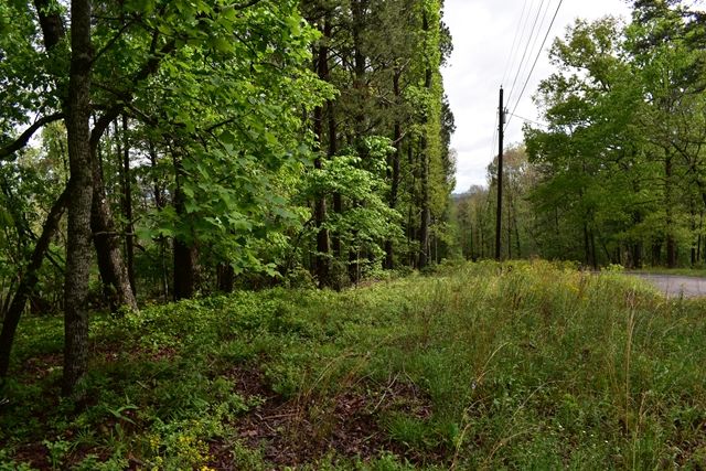 0 Glenridge Dr. Lot 57, Cleveland, GA, 30528 - Thumbnail 5