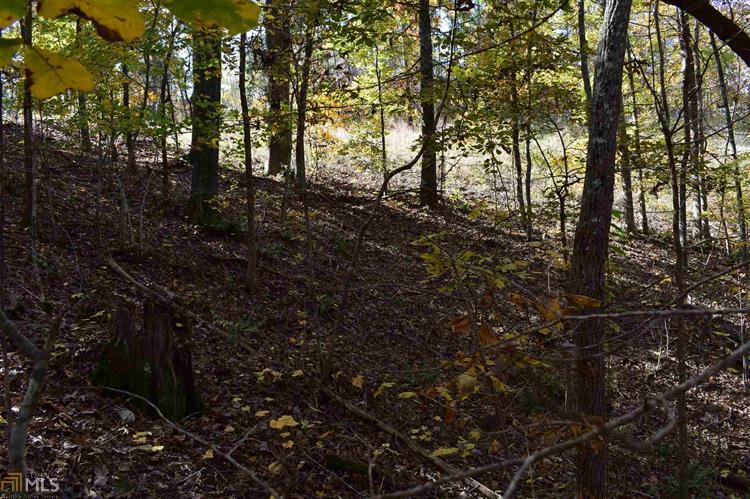 Habersham Landing Drive, Lot 25, Demorest, GA, 30535 - Thumbnail 5