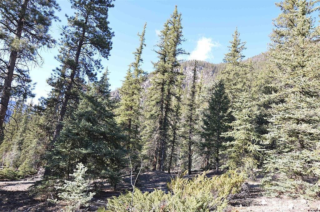 2743 Silver Coin Ln Lake City, CO 81235 - Thumbnail 5