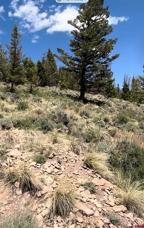 4693 Blue Mesa Dr Powderhorn, CO 81243 - Thumbnail 5