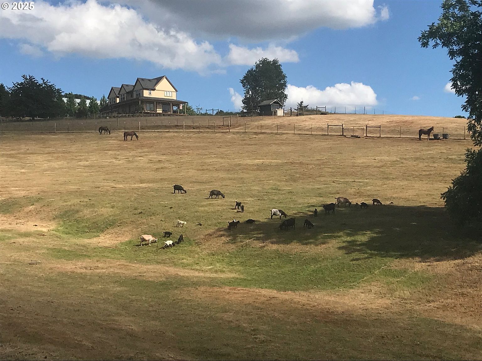 11825 NE Finn Hill Loop Carlton, OR 97111 - Thumbnail 5