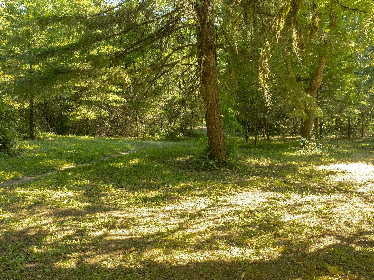 0 NE Williamson Rd Newberg, OR 97132 - Thumbnail 5