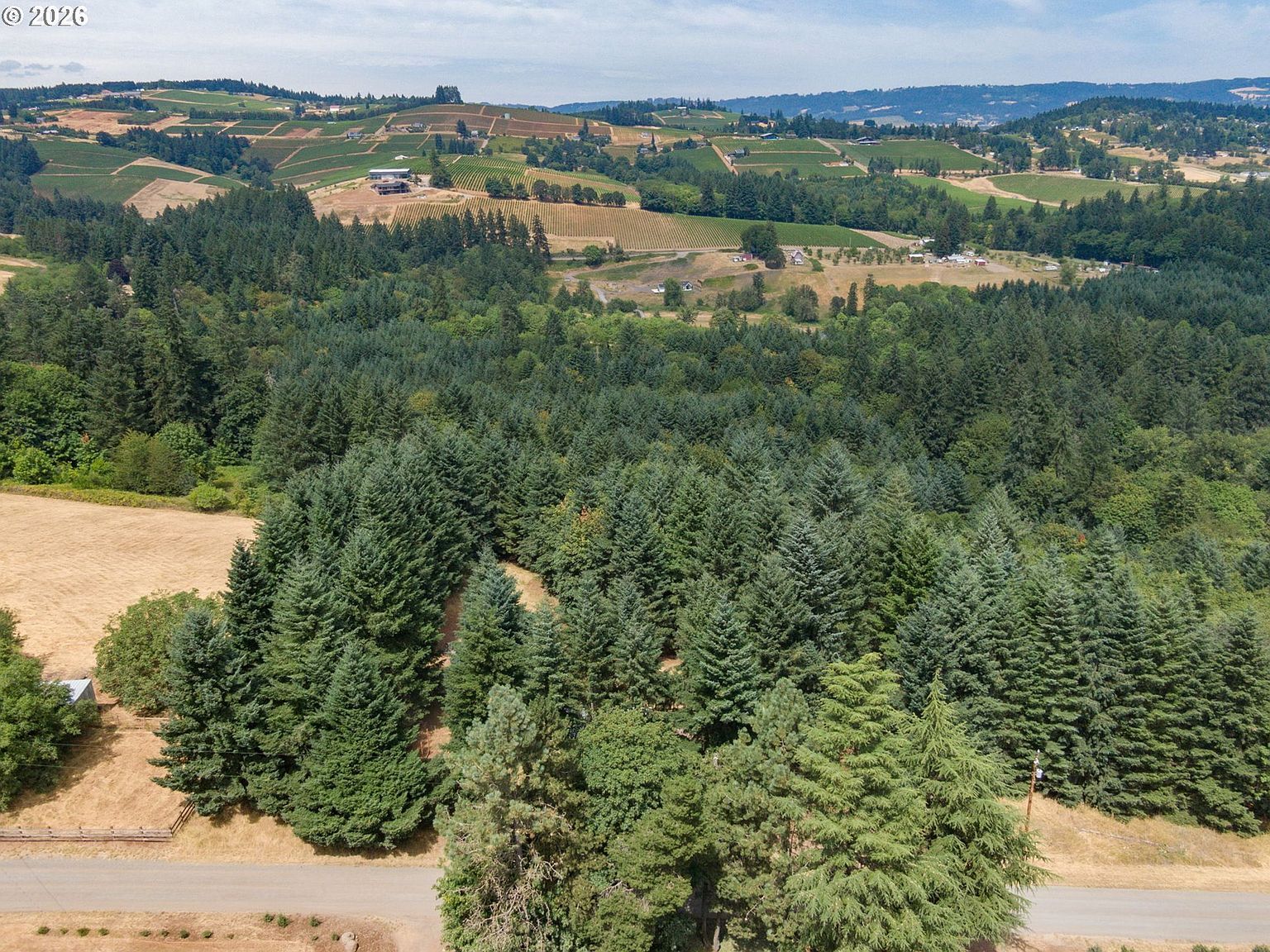 19601 NE Trunk Rd Dundee, OR 97115 - Thumbnail 5