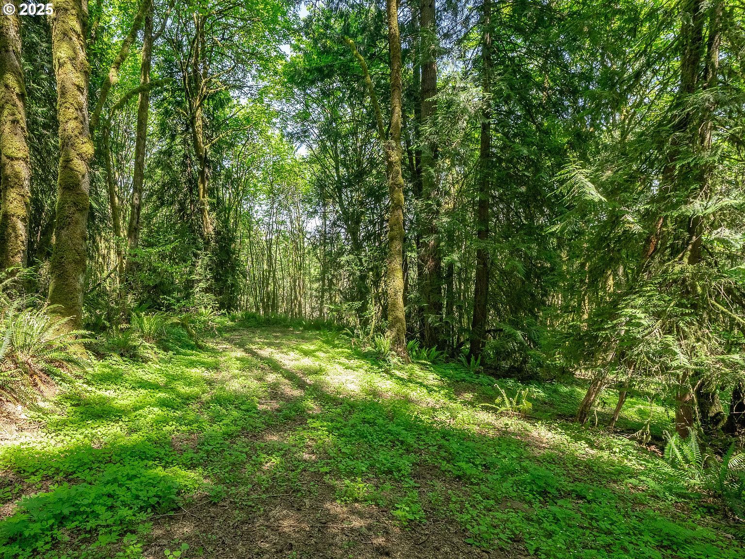 27701 SW Strawberry Hill Dr Hillsboro, OR 97123 - Thumbnail 5