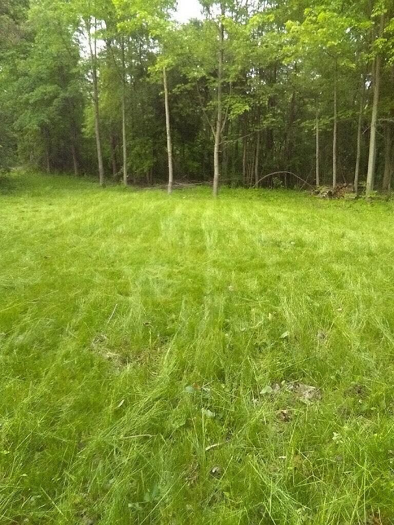 57653 Red Arrow Hwy Lawrence, MI 49064 - Thumbnail 5