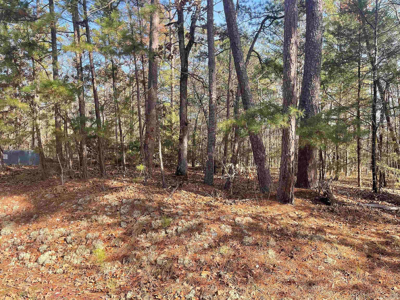 49 Glorieto Way B #L-10-3 Hot Springs Village, AR 71909 - Thumbnail 5