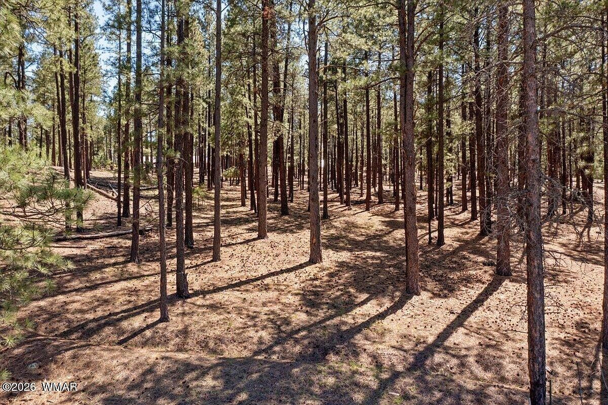 County Road 2325 Alpine, AZ 85920 - Thumbnail 5