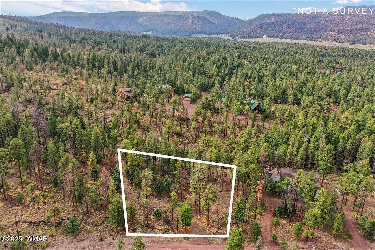 14 County Road 2074 Alpine, AZ 85920 - Thumbnail 5