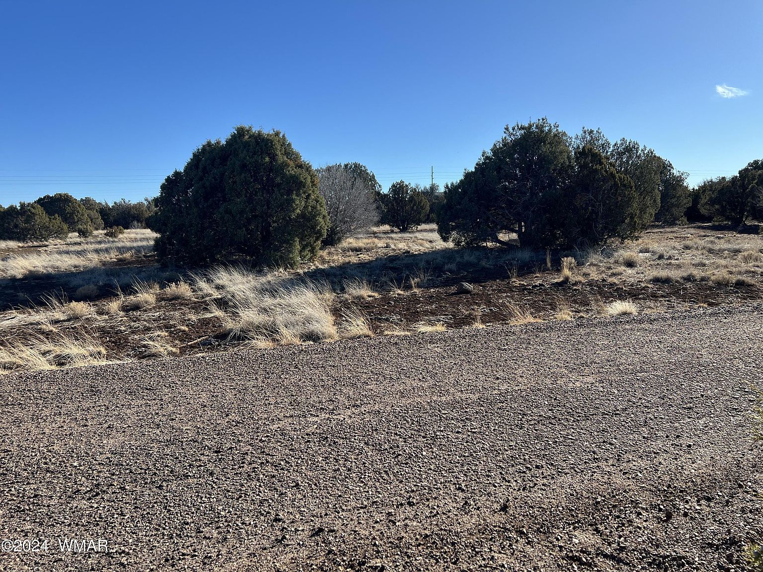 2008 Rosa Ln Show Low, AZ 85901 - Thumbnail 5