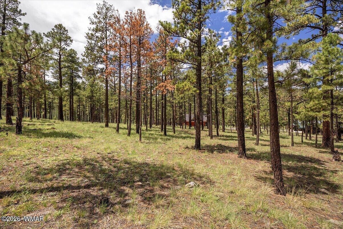14 County Road N1062 Greer, AZ 85927 - Thumbnail 5