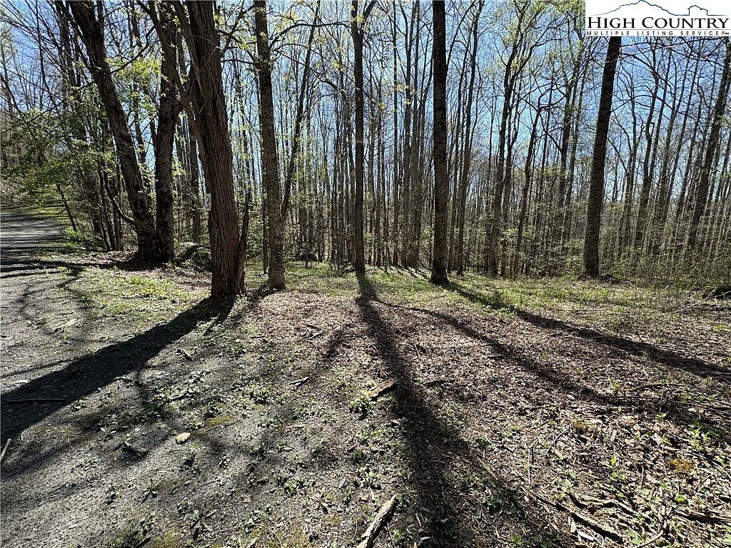 Katie Ln Bakersville, NC 28705 - Thumbnail 5