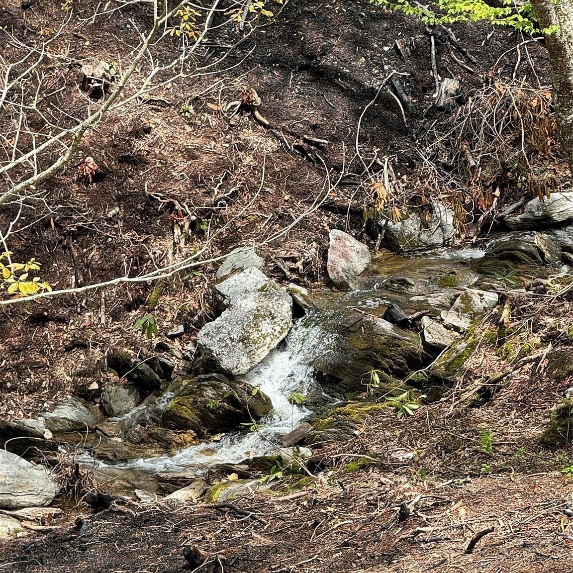 Snow Ridge Rd #35-40 Banner Elk, NC 28604 - Thumbnail 5