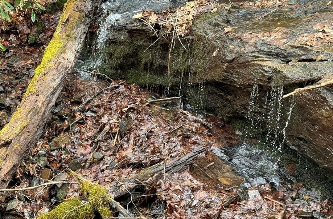 Doublehead Mountain Rd Newland, NC 28657 - Thumbnail 5