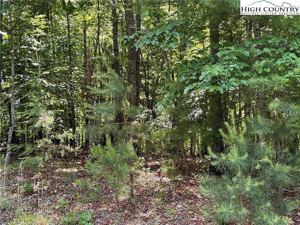 133 Steeple Chase Trl Mc Grady, NC 28649 - Thumbnail 5