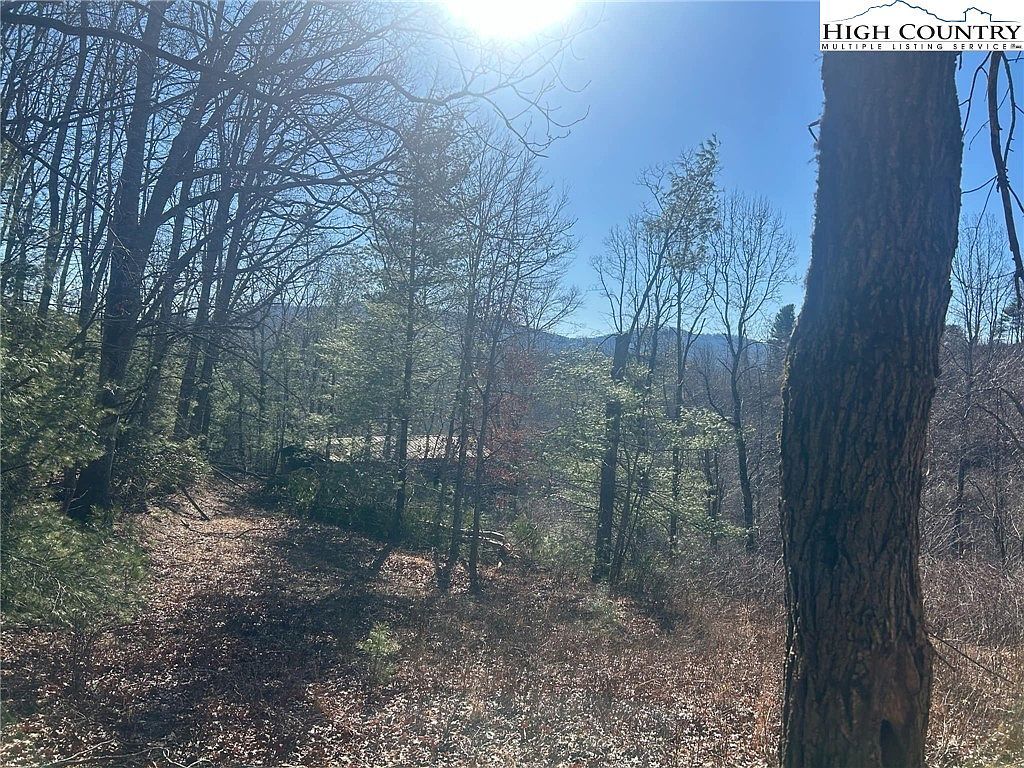 7889 Old Highway 16 Crumpler, NC 28617 - Thumbnail 5