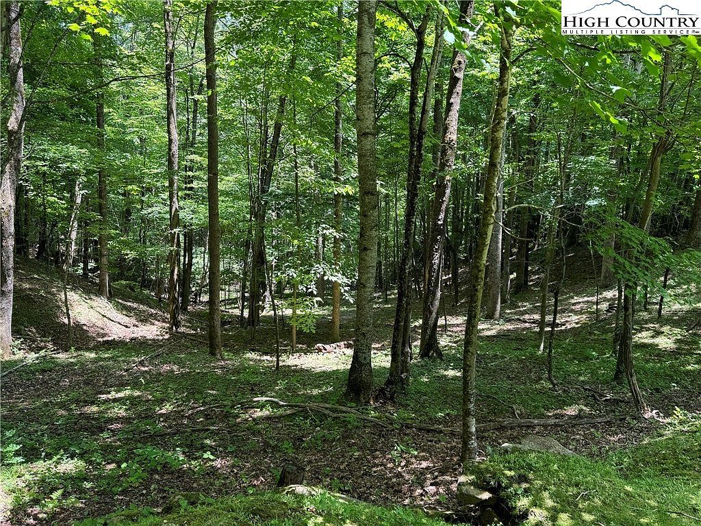 1 The Cove At Celo Mountain Burnsville, NC 28714 - Thumbnail 5