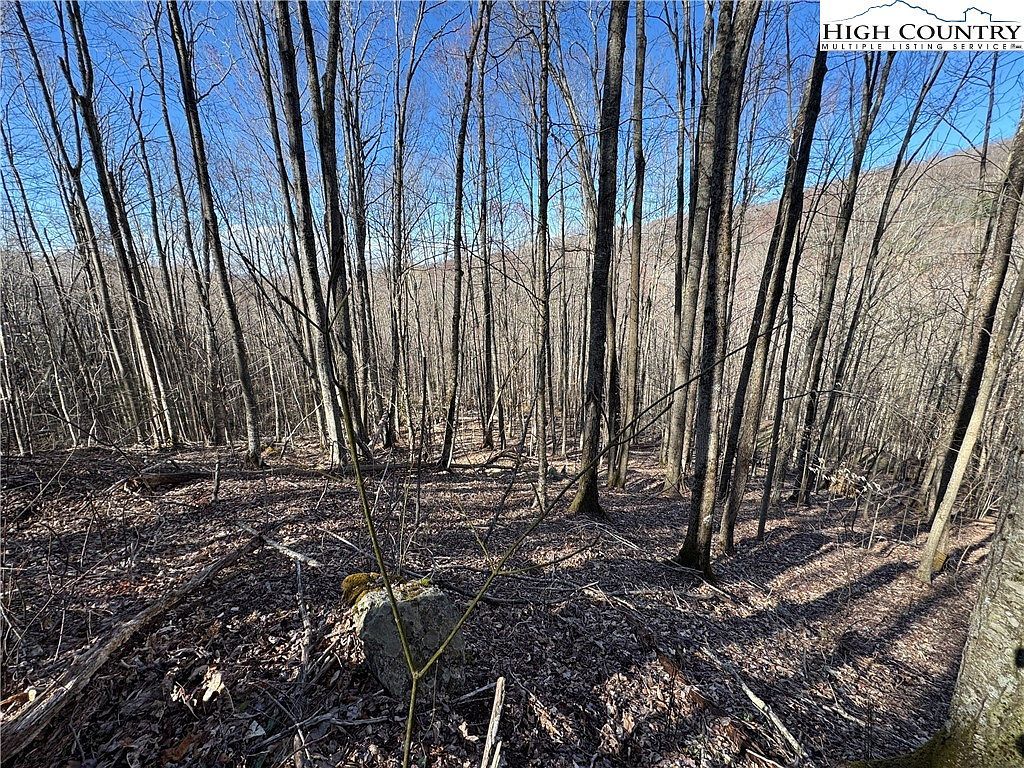 13 Larkspur Rd Banner Elk, NC 28604 - Thumbnail 5