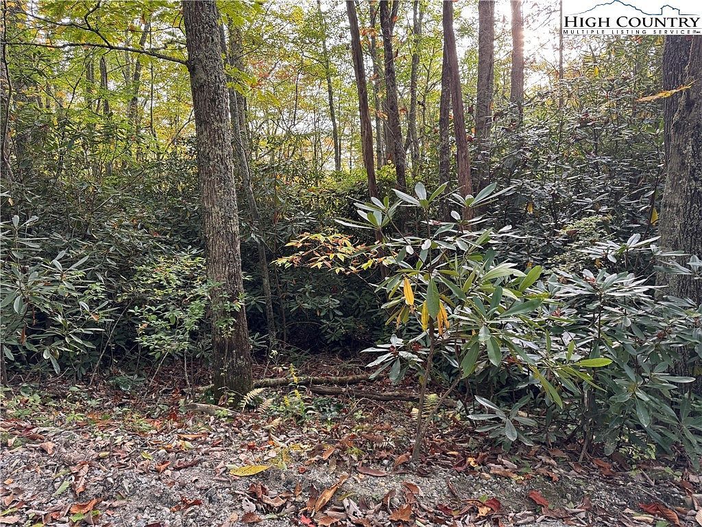 Farview Ln, Newland, NC, 28657 - Thumbnail 5