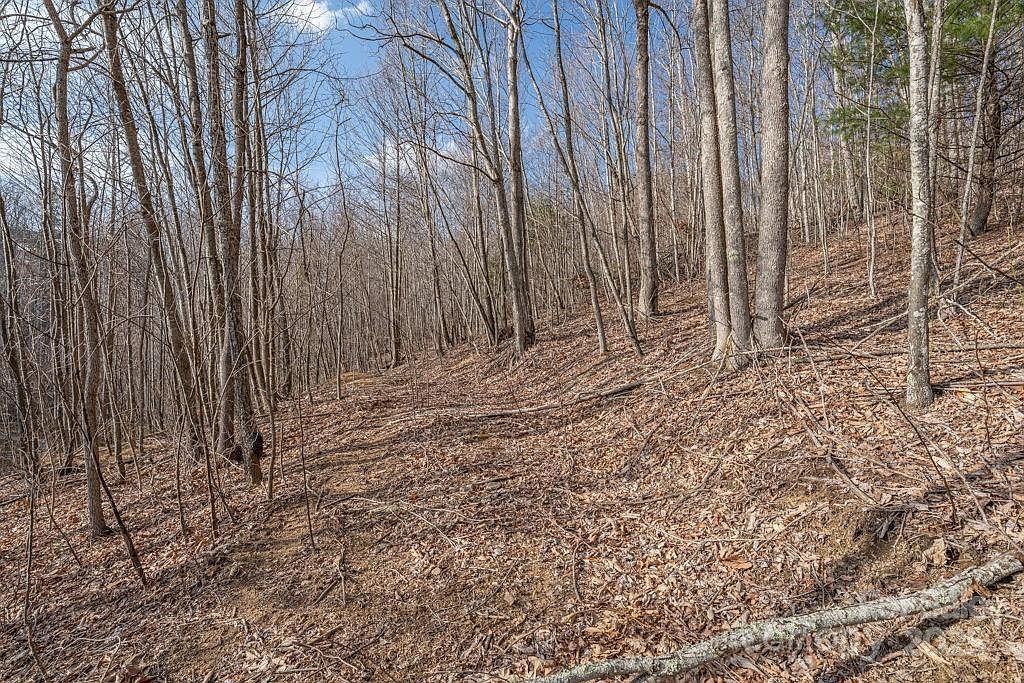 52 Pinnacle Vw Elk Park, NC 28622 - Thumbnail 5