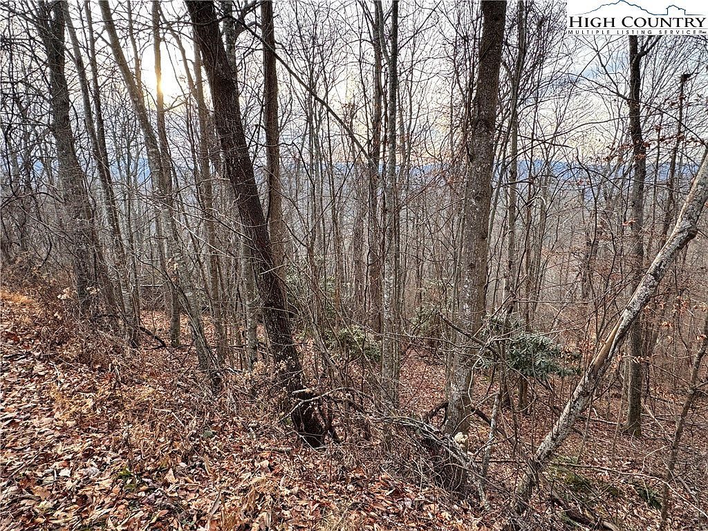 LOT 52 Dream Mountain Rd Grassy Creek, NC 28631 - Thumbnail 5