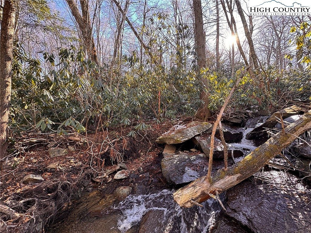 117 Wild Daisy Ln Banner Elk, NC 28604 - Thumbnail 5