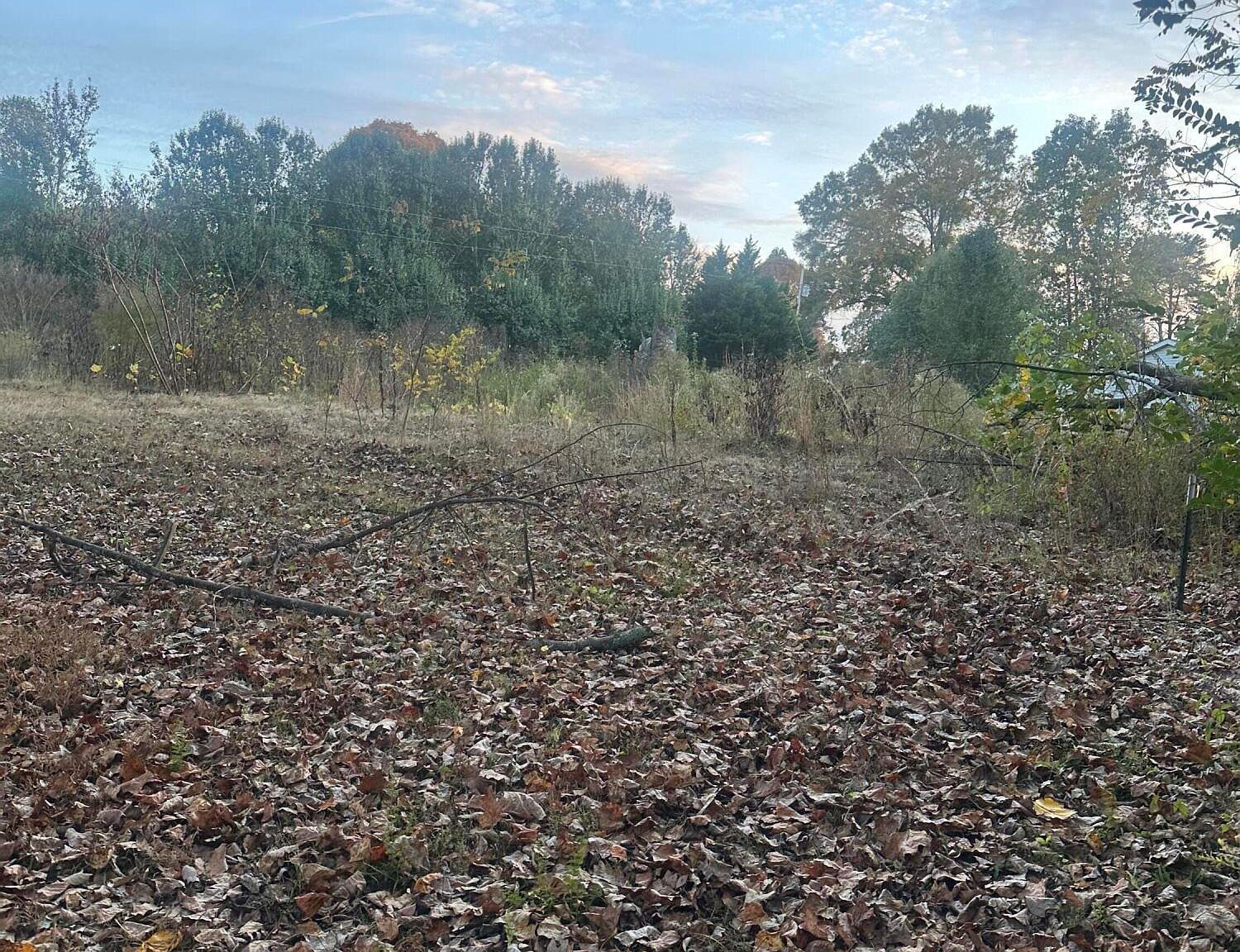 LOT 7 Lake Forest Dr Birchwood, TN 37308 - Thumbnail 5