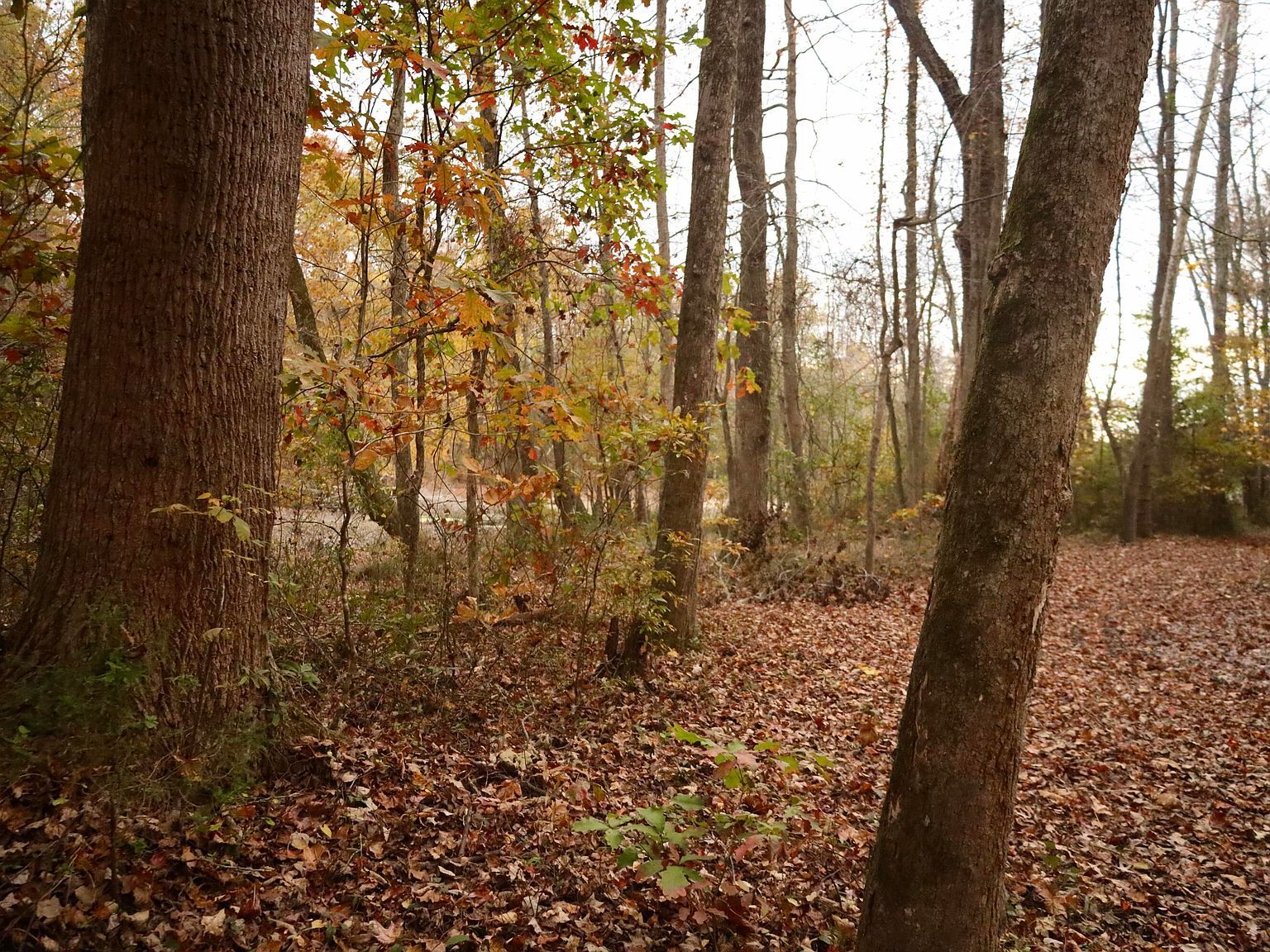 13768 Dell Dr Soddy Daisy, TN 37379 - Thumbnail 5