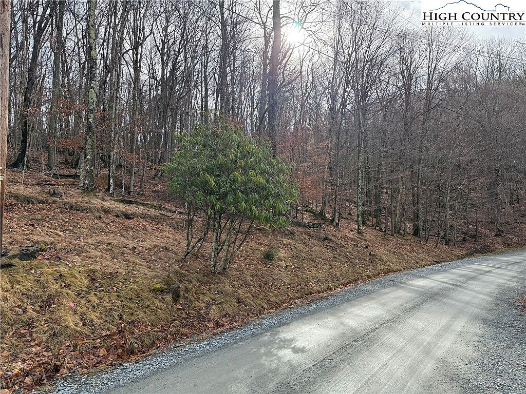 109 Hawthorne Rd Banner Elk, NC 28604 - Thumbnail 5