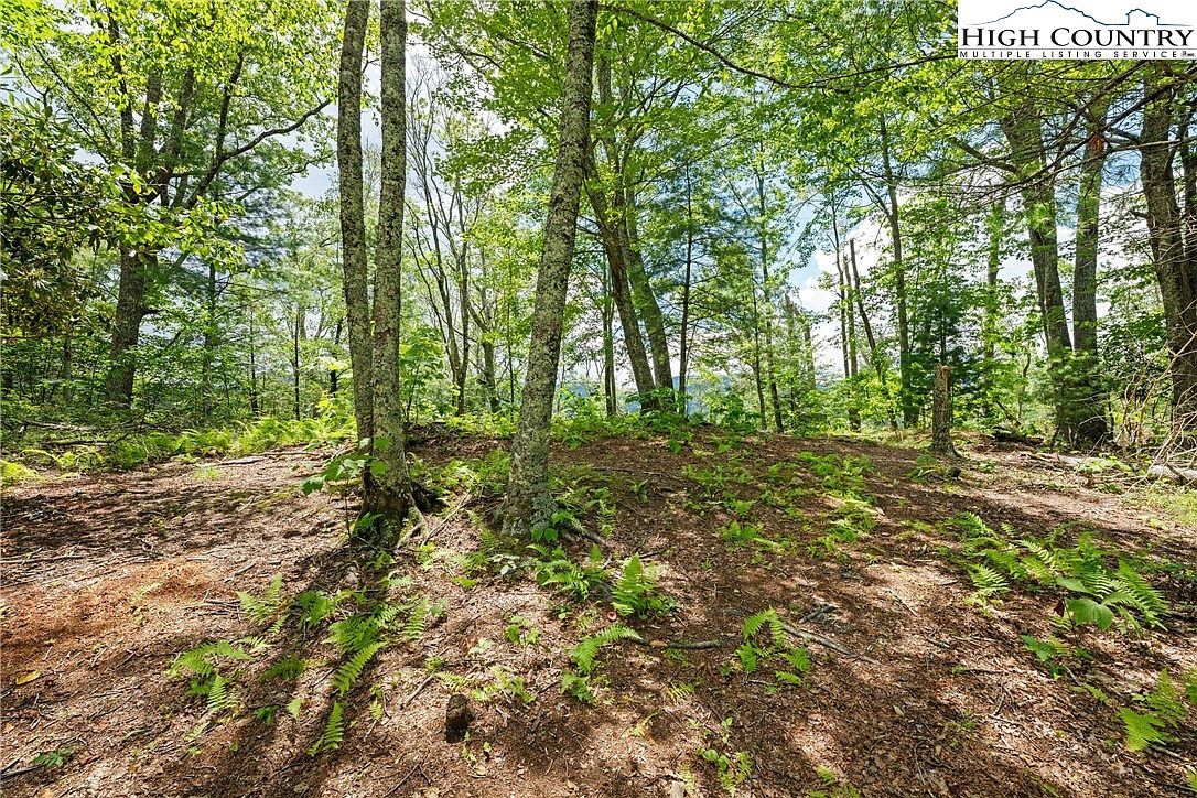 LOT 41 White Fox Ln Banner Elk, NC 28604 - Thumbnail 5