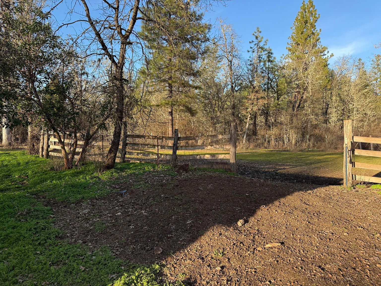 3759 Dick George Rd Cave Junction, OR 97523 - Thumbnail 5