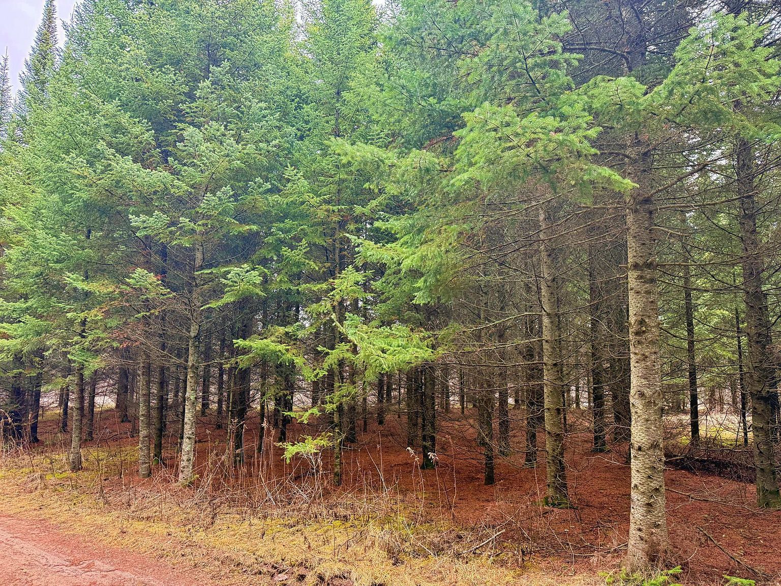 370 Lane McGregor, MN 55760 - Thumbnail 5