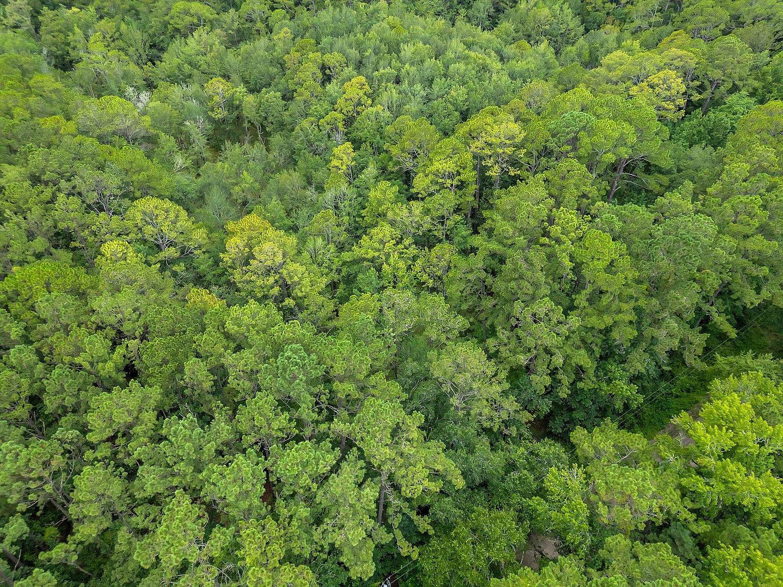 Red Gum Rd Tallahassee, FL 32303 - Thumbnail 5