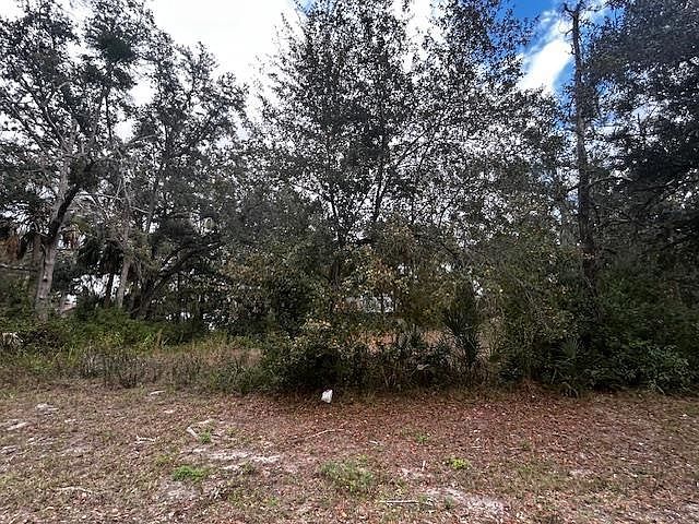 1109 E Drew St Perry, FL 32347 - Thumbnail 5
