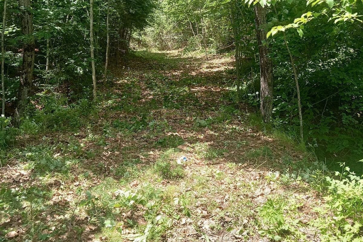 62 Whittier Hwy Center Sandwich, NH 03227 - Thumbnail 5